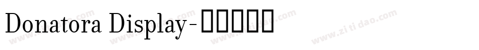 Donatora Display字体转换